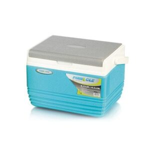 4.5 litre cooler box