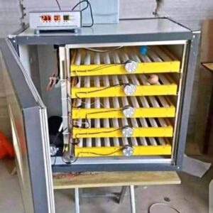 300 eggs incubator